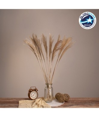 GLOBOSTAR® MISCANTHUS 36536 Αποξηραμένο Διακοσμητικό Μπουκέτο Μίσχανθος - Μπεζ - Μ20 x Π20 x Υ80cm - Πακέτο 20 Τεμαχίων